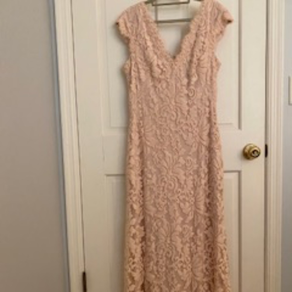 Tadashi Shoji Blush Stretch Lace Gown (original $299)